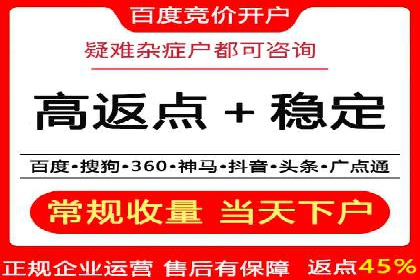 SEM外包策略在电商平台的成功案例